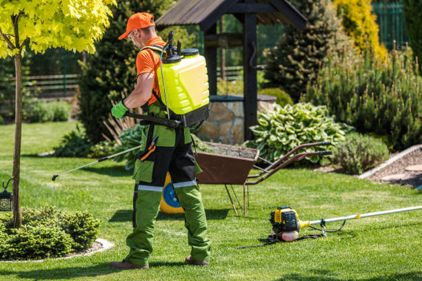 Lawn Pest Control in Cedar Hills, OR